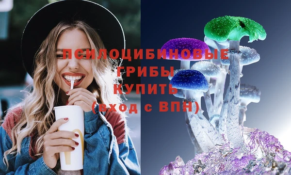 гашик Арсеньев