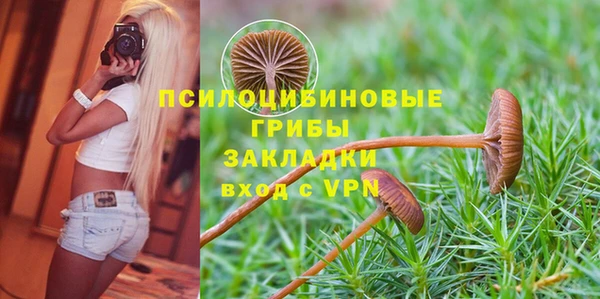 дмт Алзамай