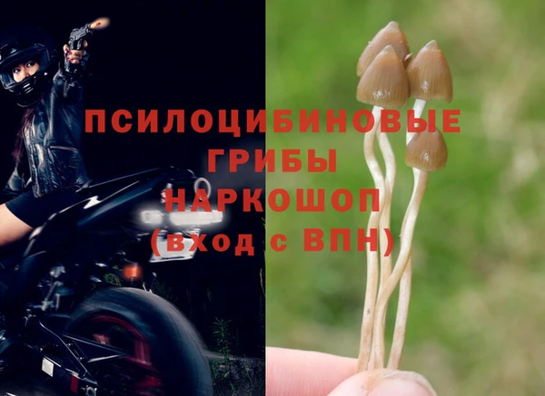 дмт Алзамай